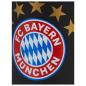 Preview: FC Bayern München DFB Fussball Verein Bundesliga Tasse Logo Merch Fanartikel Geschenkbox Schwarz 1