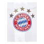 Preview: FC Bayern München DFB Verein Bundesliga Fußball Wassergläser Fangläser Biergläser Trinkgläser 2er Set Merch Fanartikel Logo 1