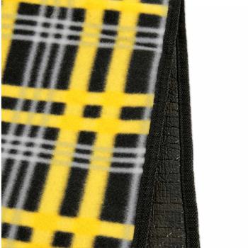 Borussia Dortmund BVB 09 DFB Fussball Verein Picknickdecke Logo Merch Fanartikel 2