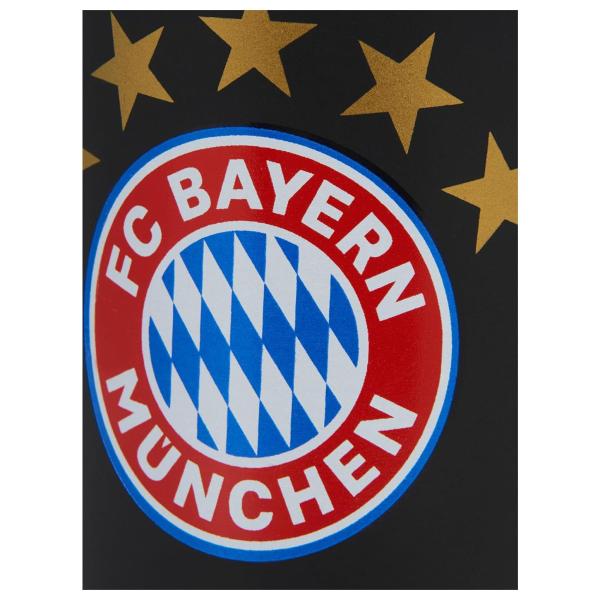 FC Bayern München DFB Fussball Verein Bundesliga Tasse Logo Merch Fanartikel Geschenkbox Schwarz 1