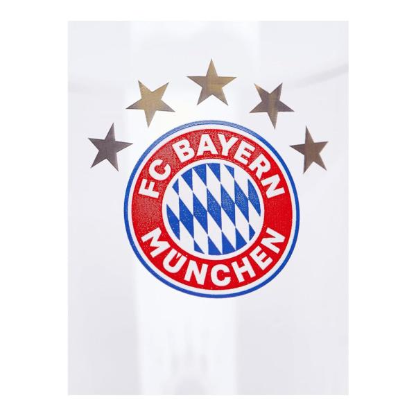 FC Bayern München DFB Verein Bundesliga Fußball Wassergläser Fangläser Biergläser Trinkgläser 2er Set Merch Fanartikel Logo 1