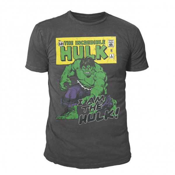 Marvel Comics Hulk I am The Herren T-shirt Grau